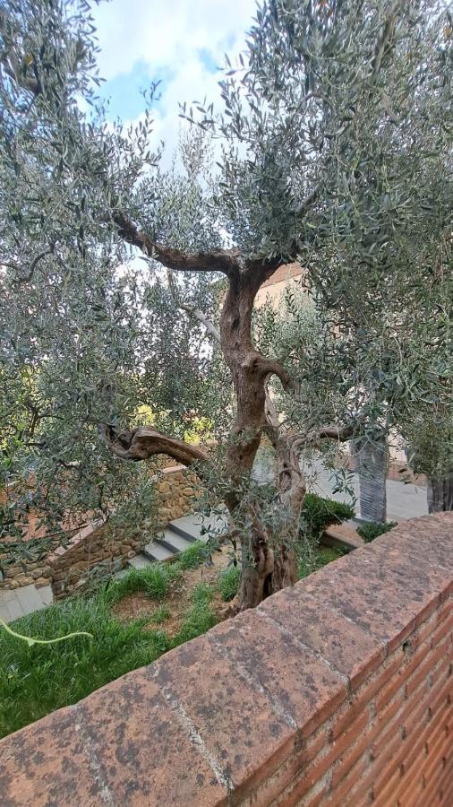 Casina Di Alice Apartman Vinci Kültér fotó